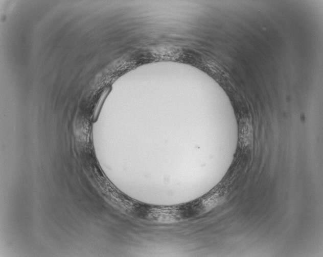 X0000053070713200508081220