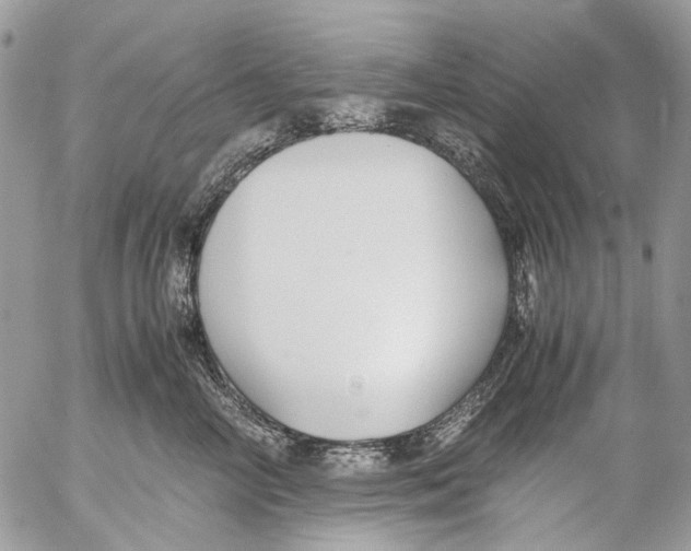 X0000053070714200508081220