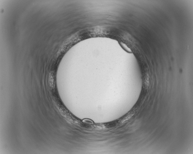 X0000053070715200508081220