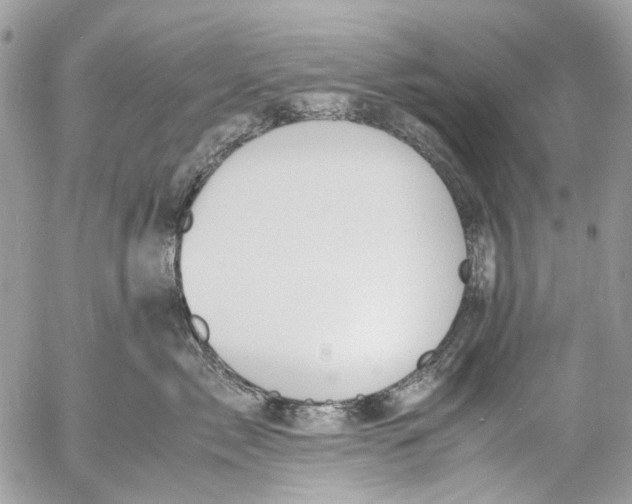 X0000053070717200508081220