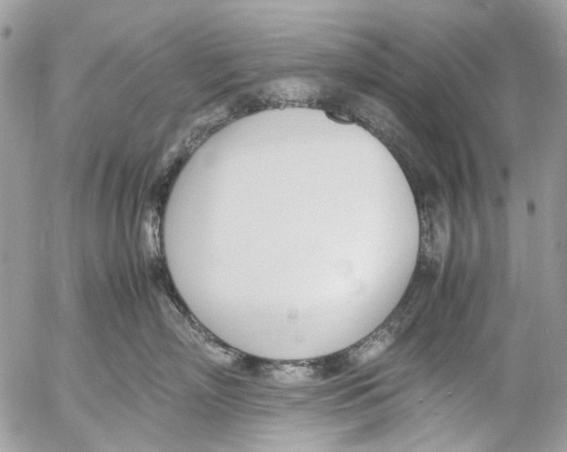 X0000053070718200508081220