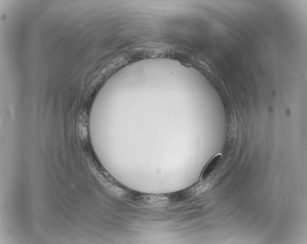 X0000053070719200508081220