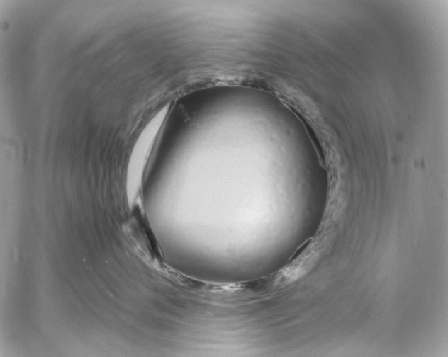 X0000053070720200508081220