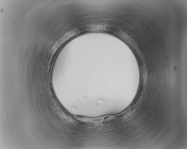 X0000053070721200508081219