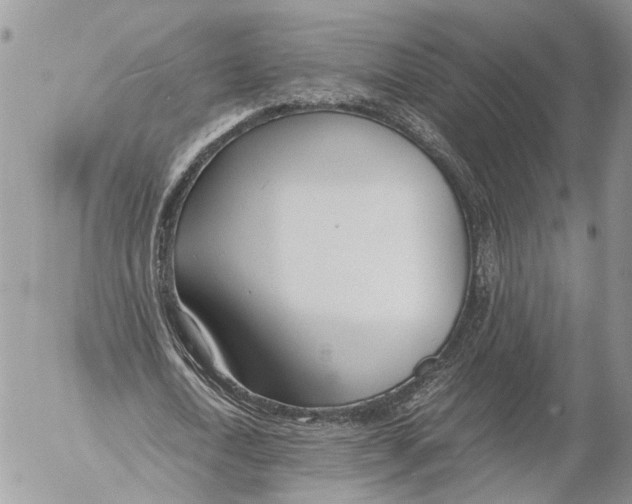 X0000053070722200508081219