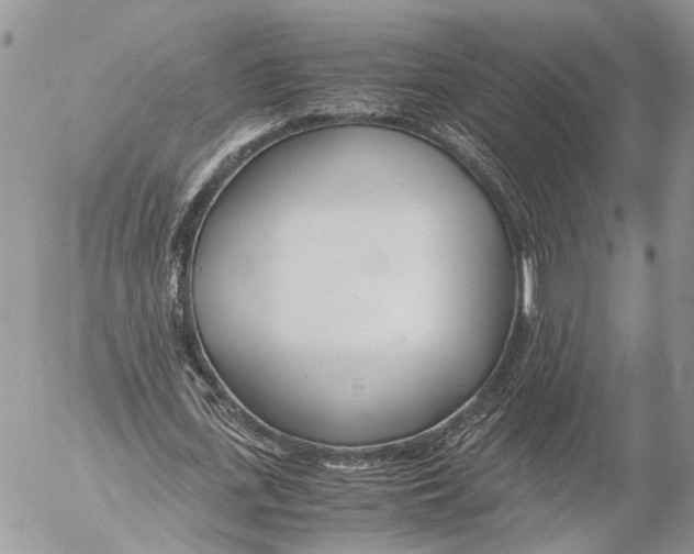 X0000053070723200508081219