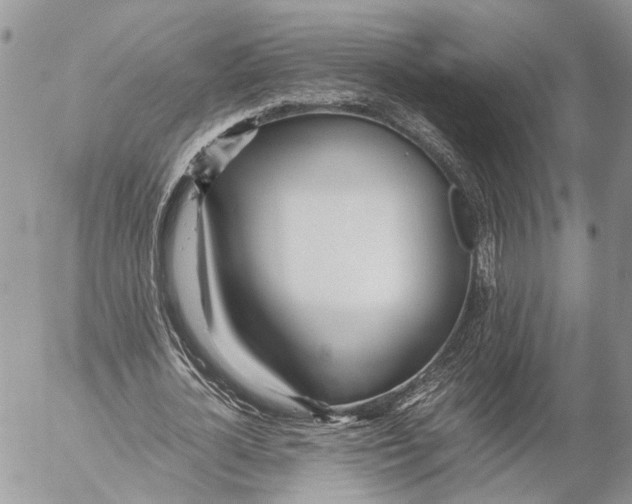 X0000053070724200508081219