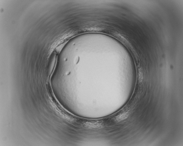 X0000053070725200508081219