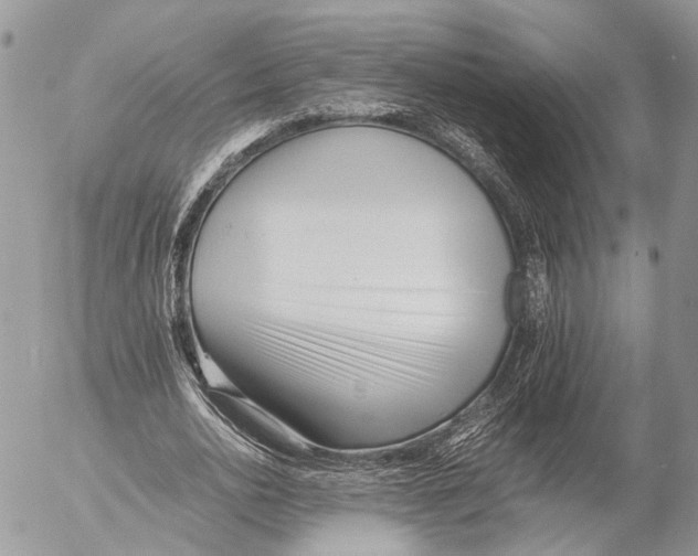 X0000053070726200508081219