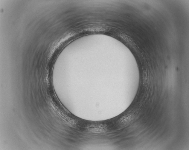 X0000053070727200508081219