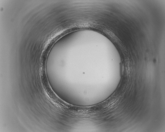 X0000053070728200508081219