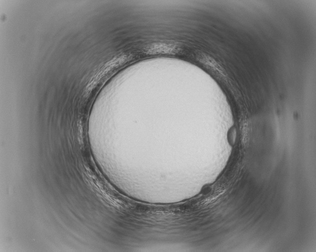 X0000053070729200508081219