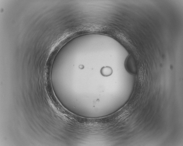 X0000053070730200508081219