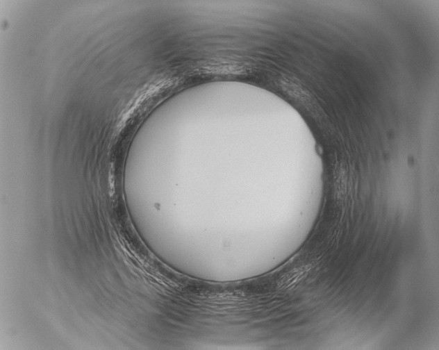 X0000053070731200508081219