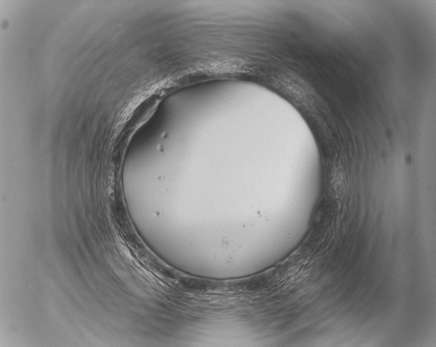 X0000053070732200508081219