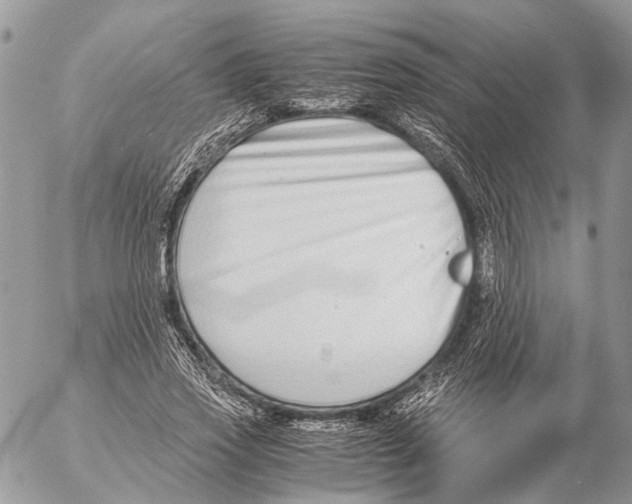 X0000053070733200508081219