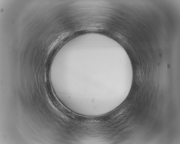 X0000053070734200508081219