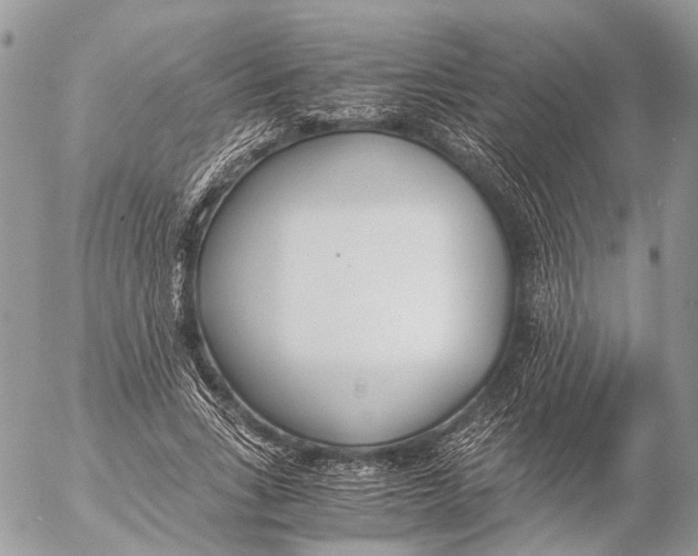 X0000053070735200508081219