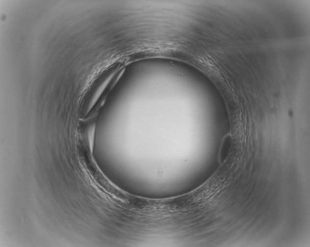 X0000053070736200508081219