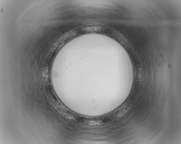 X0000053070737200508081219