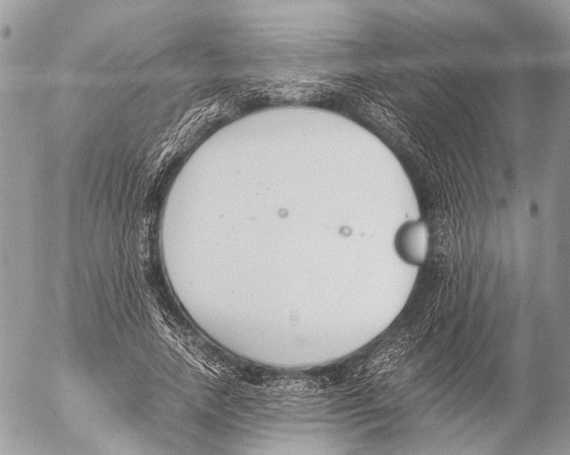 X0000053070738200508081219