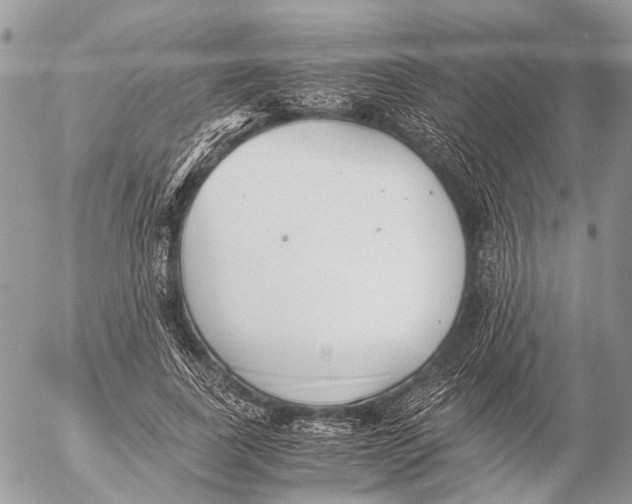 X0000053070739200508081219