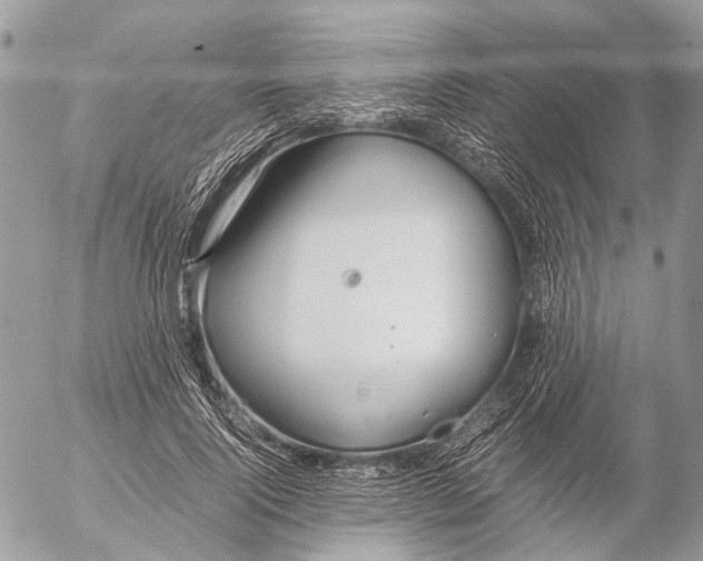 X0000053070740200508081219