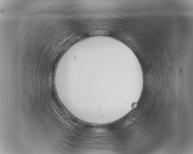 X0000053070741200508081219