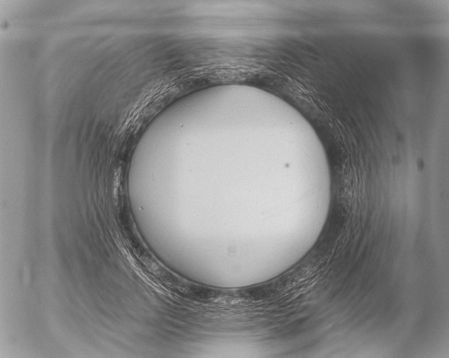 X0000053070742200508081219