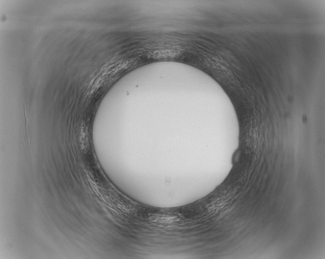 X0000053070743200508081219