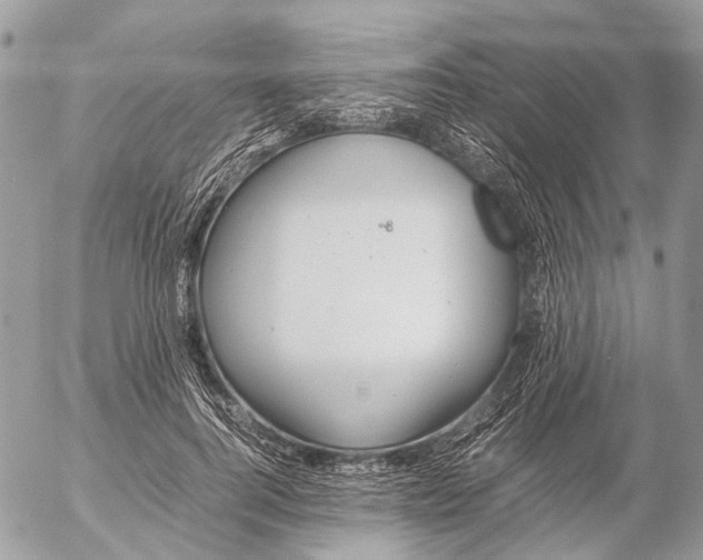 X0000053070744200508081219