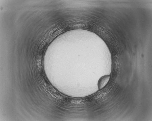 X0000053070745200508081219