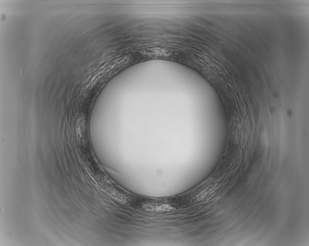 X0000053070747200508081219