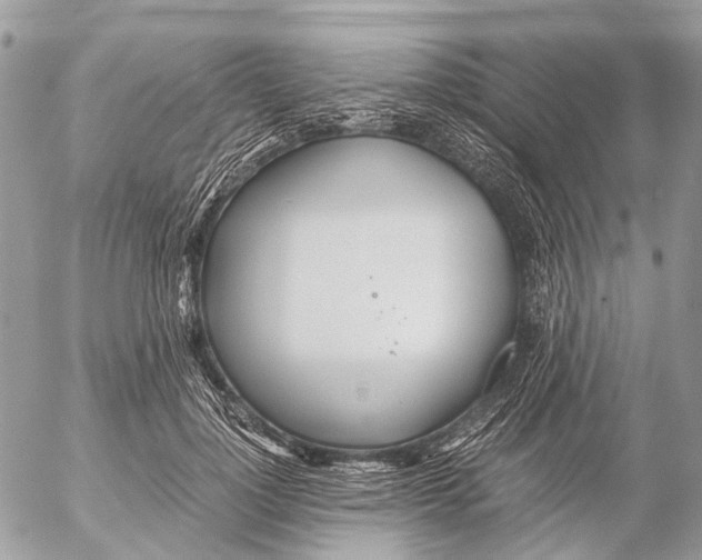 X0000053070748200508081219