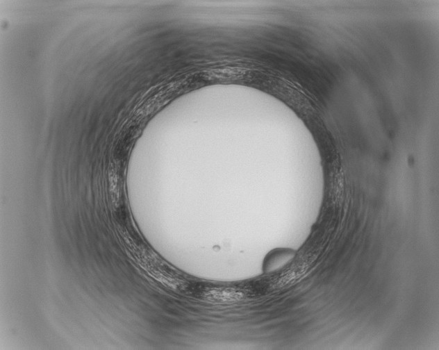 X0000053070749200508081219