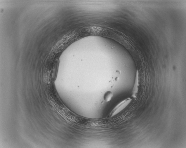 X0000053070750200508081219