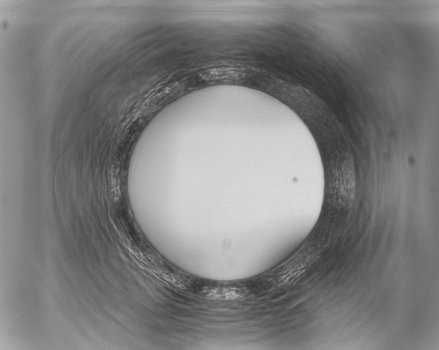 X0000053070751200508081219