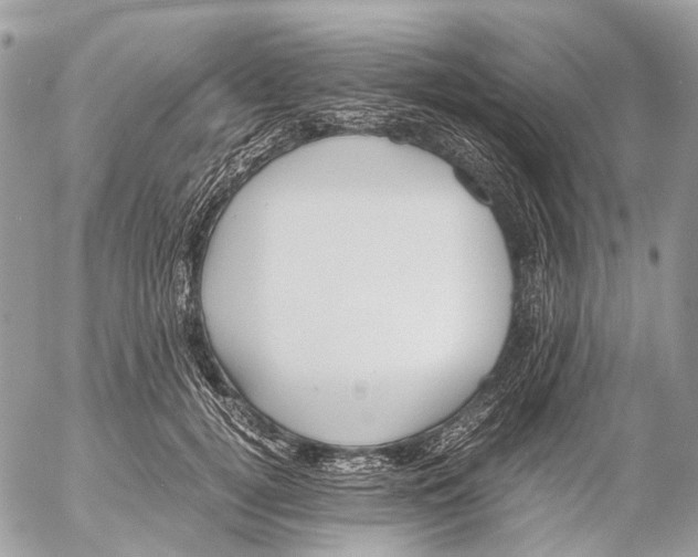 X0000053070752200508081219