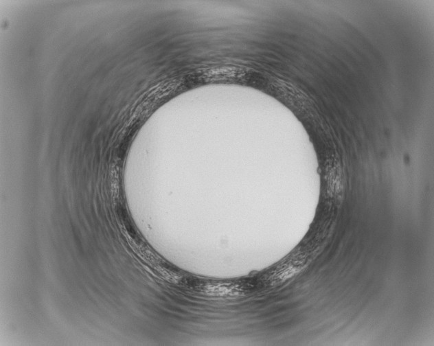 X0000053070753200508081219