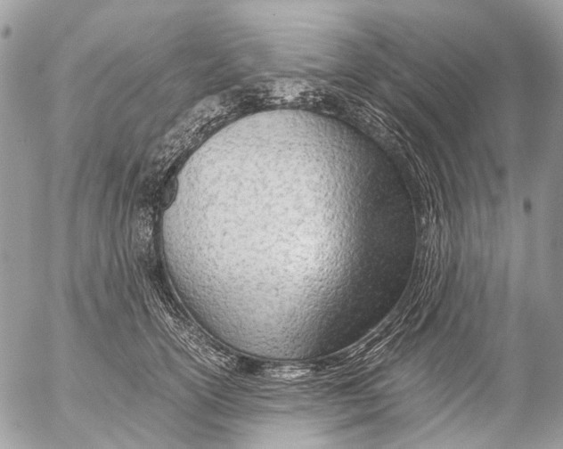 X0000053070754200508081219