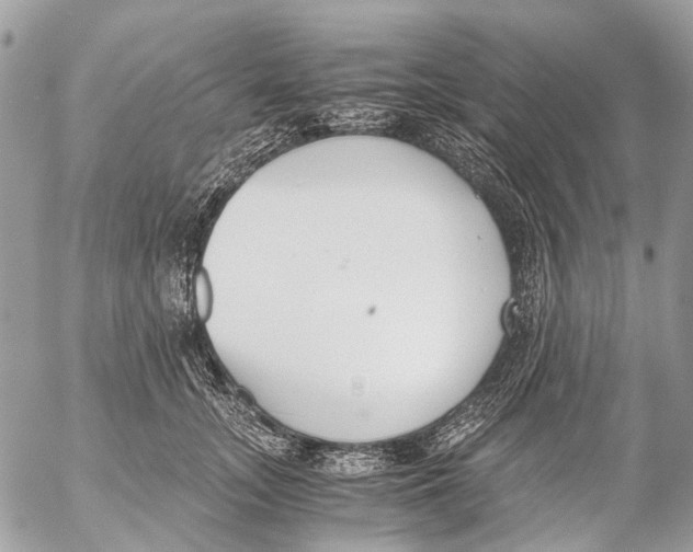 X0000053070755200508081219