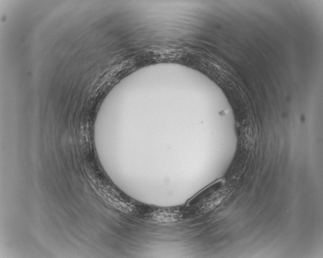 X0000053070756200508081219