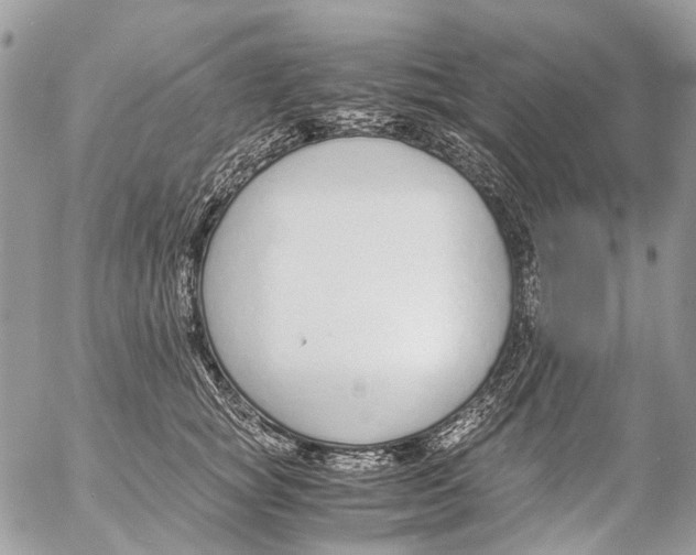 X0000053070757200508081219