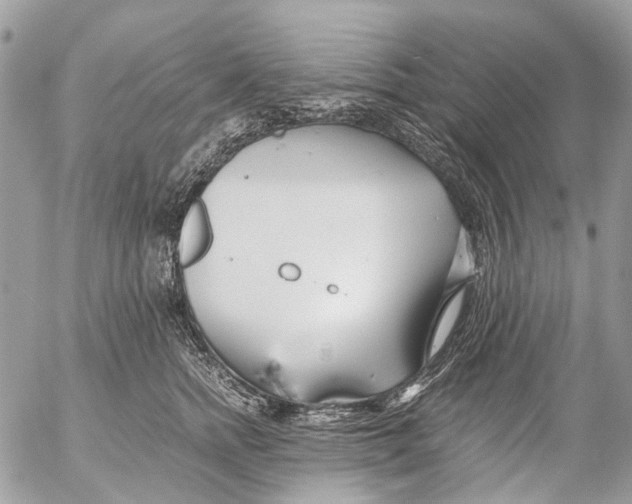 X0000053070758200508081219