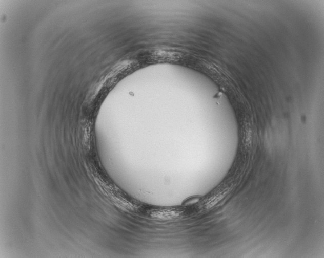 X0000053070759200508081219