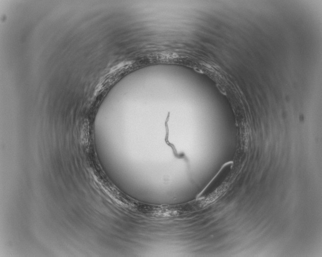 X0000053070760200508081219