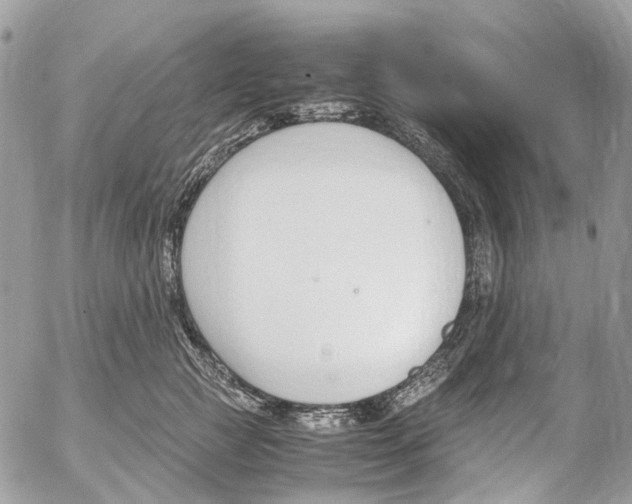 X0000053070761200508081219