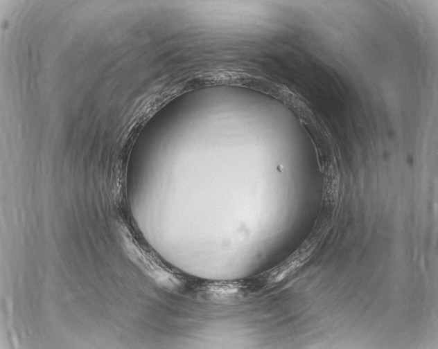 X0000053070762200508081219