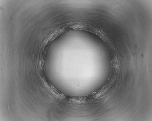 X0000053070763200508081219