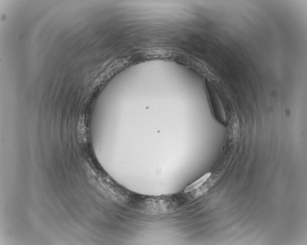 X0000053070764200508081219